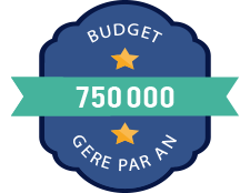 Gestion de 750K de budget media